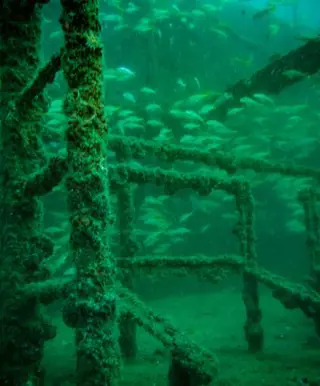 Tauche das Schiff-Wrack Al Munasir bei Muscat